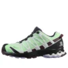 SALOMON XA PRO 3d V8 Gtx “Green Black”