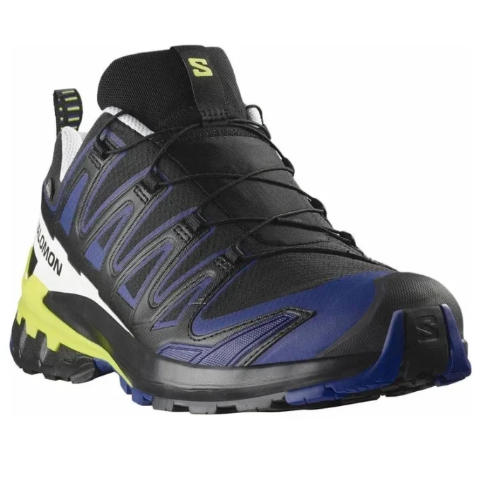 Salomon XA PRO 3D V9 Gore-Tex “Nero Surf The Web”