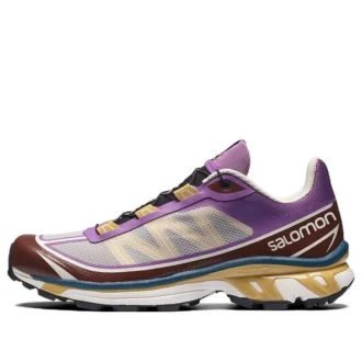 Salomon XT-6 Ft “Grigio Viola Marrone”