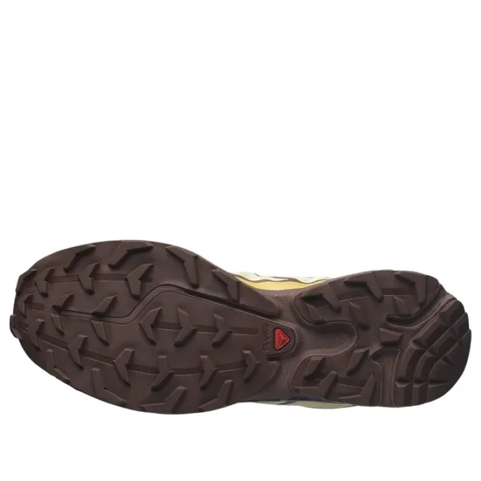 Salomon XT-6 “Giallo polveroso French Roast”